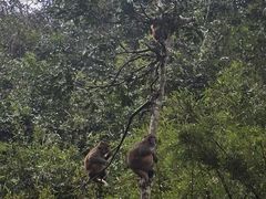 -姑婆山旅游区
