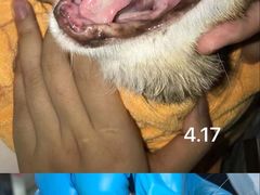 -立德动物医院·24小时中心(番禺区院区)