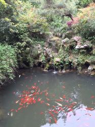 -杰爱月子护理中心