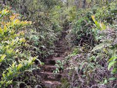 -青芝山风景名胜区
