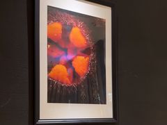 -Tuna maki寿司(园区永旺店)