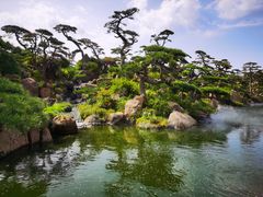 -罗红摄影艺术馆