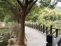 -九龙潭景区