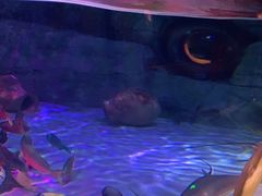 -沈阳海洋探索中心