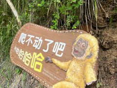 -白帝城·瞿塘峡景区