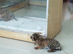 -大连森林动物园