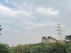 -广东花都湖国家湿地公园