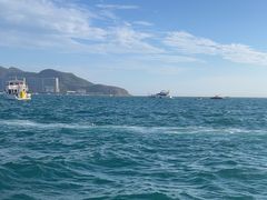 -小猫钓鱼海钓俱乐部(椰梦长廊店)