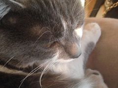 iphone_upload_pic-MIKAKU(万达广场上海宝山店)