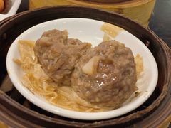 山竹牛肉球-添运来(茶园奥园广场店)