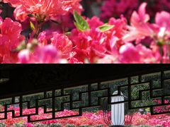 -老门东历史文化街区