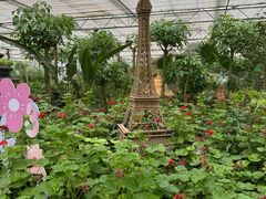 -南宫五洲植物乐园