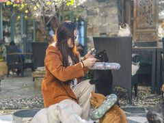 -喵屿·大理花园猫咖