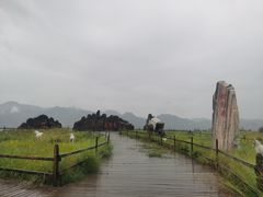 -哈素海