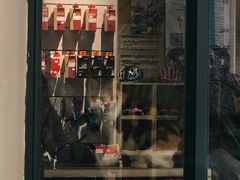 -SPECIALIZED闪电自行车(建国西路店)