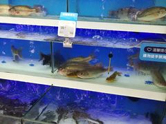 -盒马鲜生(大成店)