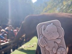-野象谷景区