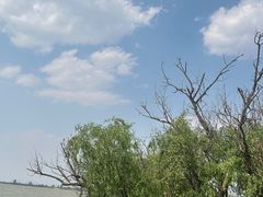 -捞渔河湿地公园