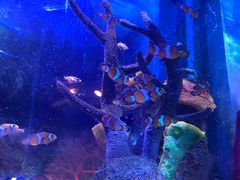 -沈阳海洋探索中心