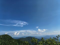 -王顺山国家森林公园
