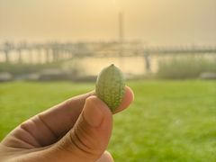-滆湖低碳生态公园