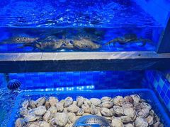 -奢谷·海鲜自助(南海万科店)