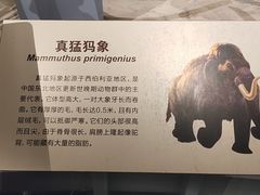 -大庆市博物馆