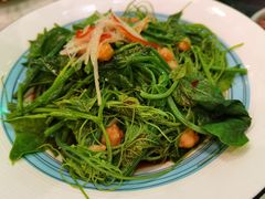 清炒南瓜尖儿-巴依老爷新疆美食(马驹桥店)