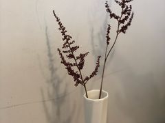 -竹子咖啡bamboo coffee