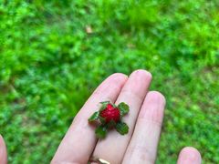 -元大都城垣遗址公园