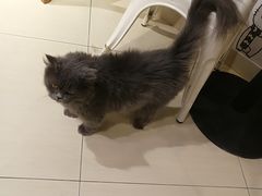 -小时光咖啡馆(开森度假森林店)
