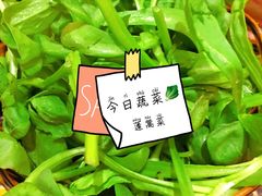 蓬蒿菜-颐品居涮肉(乌鲁木齐中路店)