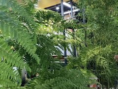 -大自然花鸟鱼虫市场