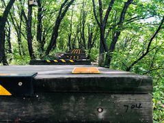 -帽儿山国家森林公园