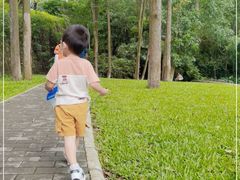 -火炉山森林公园
