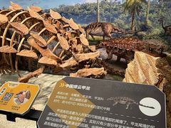 -浙江自然博物院(杭州馆)