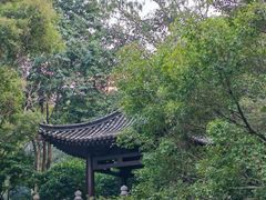 -深圳国际园林花卉博览园