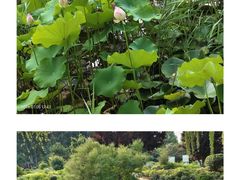 -郑州植物园