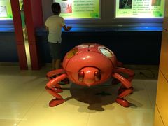 -上海昆虫博物馆