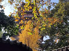-北寺塔