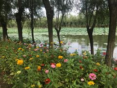 -艾溪湖湿地公园