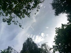 -怡海公园(桂城街道)