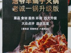 -浩爷羊蝎子火锅(望京店)