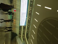 -中国人民解放军总医院(301医院)