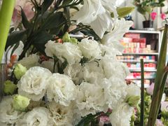 -FEI FEI FLOWER鲜花店·气球派对·宝宝宴布置(虹口德必运动Loft店)