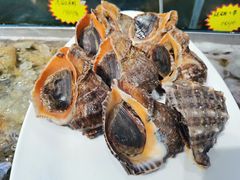 -77号渔船·蒸海鲜青岛菜(积米崖店)