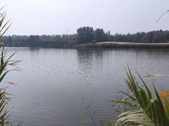 -东郊湿地公园