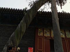 -关林