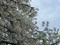 -东钱湖小普陀景区