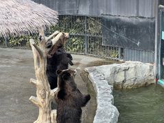 -星巴克(杭州市民中心店)